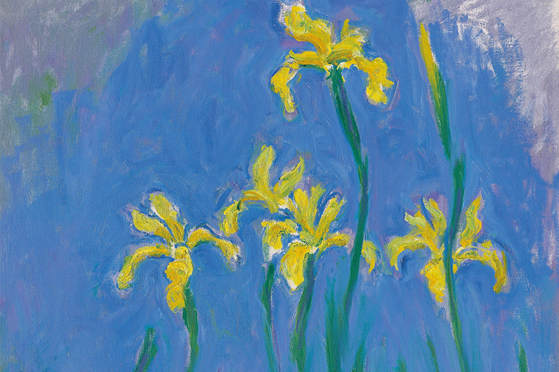 Claude Monet, Iris